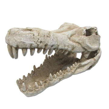 Petsleisure Reptile & Amphibian Habitat Accessories